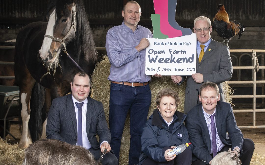 Bumper Numbers Attended Bank of Ireland Open Farm Weekend