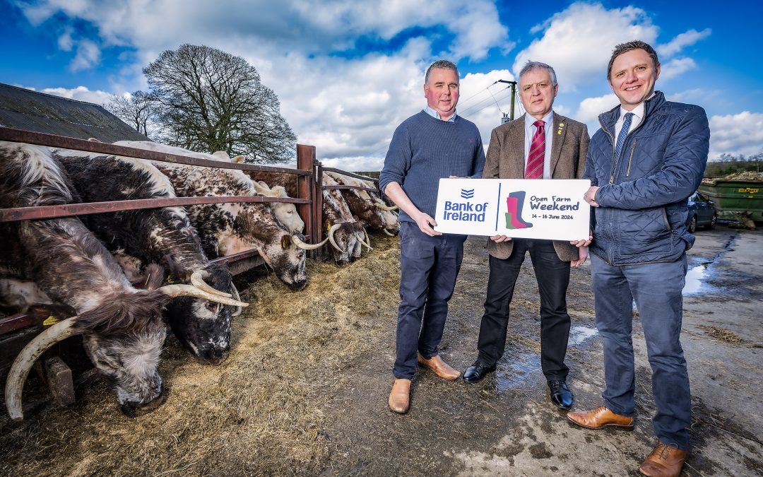 The LMC Encourages the Public to Sample Farm Quality Assured Beef and Lamb During Bank of Ireland Open Farm Weekend